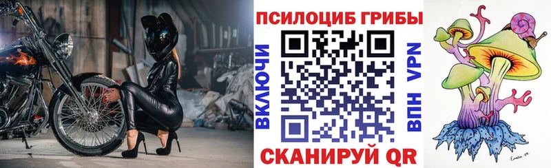 Псилоцибиновые грибы мицелий  сколько стоит  Анапа 