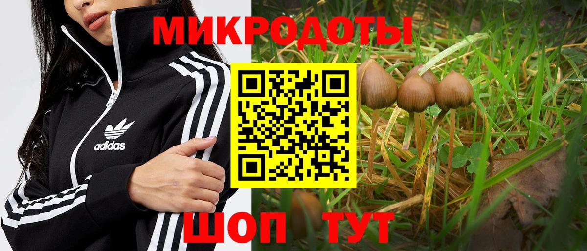Анапа  Псилоцибиновые грибы Magic Shrooms  Псилоцибиновые грибы Magic Shrooms  как найти закладки  Вход с VPN 