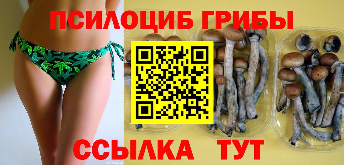 Анапа  Псилоцибиновые грибы ЛСД  Вход с VPN  Псилоцибиновые грибы GOLDEN TEACHER 