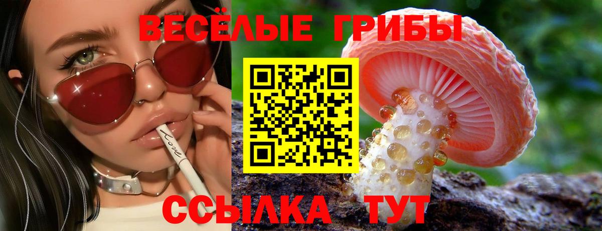 Псилоцибиновые грибы Psilocybe Анапа